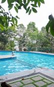 Туры в отель Wayanad Silverwoods Forest Resort & Spa Туры в отель Wayanad Silverwoods Forest Resort & Spa