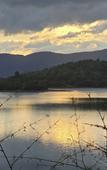 Туры в отель Wayanad Silverwoods Forest Resort & Spa Туры в отель Wayanad Silverwoods Forest Resort & Spa