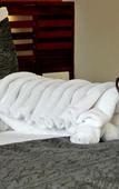 Туры в отель Wayanad Silverwoods Forest Resort & Spa Туры в отель Wayanad Silverwoods Forest Resort & Spa