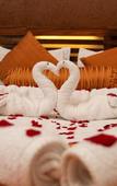 Туры в отель Wayanad Silverwoods Forest Resort & Spa Туры в отель Wayanad Silverwoods Forest Resort & Spa