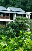 Туры в отель Wayanad Silverwoods Forest Resort & Spa Туры в отель Wayanad Silverwoods Forest Resort & Spa