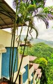 Туры в отель The View Munnar Туры в отель The View Munnar