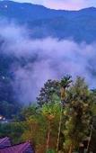 Туры в отель The View Munnar Туры в отель The View Munnar