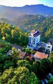 Туры в отель The View Munnar Туры в отель The View Munnar