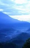 Туры в отель The View Munnar Туры в отель The View Munnar