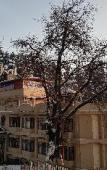 Туры в отель Hotel Silverine Туры в отель Hotel Silverine