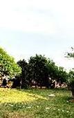 Туры в отель The Grand ND Resort Vrindavan Туры в отель The Grand ND Resort Vrindavan