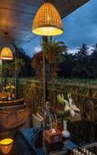 Туры в отель Nexstay Oshin Wayanad Туры в отель Nexstay Oshin Wayanad