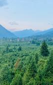 Туры в отель Hotel Snow Crest Residency- A Pure Veg Hotel Туры в отель Hotel Snow Crest Residency- A Pure Veg Hotel