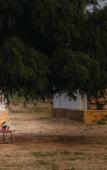 Туры в отель Sonal Desert Camp Jaisalmer Туры в отель Sonal Desert Camp Jaisalmer
