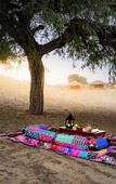 Туры в отель Sonal Desert Camp Jaisalmer Туры в отель Sonal Desert Camp Jaisalmer