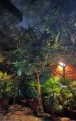 Туры в отель Bhoora House Туры в отель Bhoora House