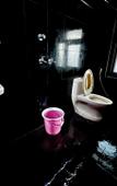 Туры в отель Bhoora House Туры в отель Bhoora House