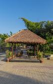 Туры в отель Tree of Life Amara Resorts & Spa Udaipur Туры в отель Tree of Life Amara Resorts & Spa Udaipur
