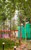 Туры в отель Tectona Treetop Mansion Туры в отель Tectona Treetop Mansion