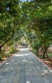 Туры в отель juSTa Alwarbagh Sariska Туры в отель juSTa Alwarbagh Sariska