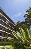 Туры в отель Coral Teide Mar Apartamentos Туры в отель Coral Teide Mar Apartamentos