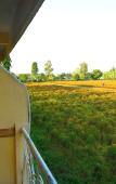 Туры в отель Woods Inn Resort (Airport Hotel) Туры в отель Woods Inn Resort (Airport Hotel)