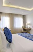 Туры в отель Cygnett Inn Airport Туры в отель Cygnett Inn Airport