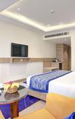 Туры в отель Cygnett Inn Airport Туры в отель Cygnett Inn Airport