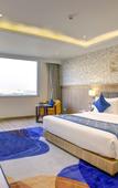 Туры в отель Cygnett Inn Airport Туры в отель Cygnett Inn Airport