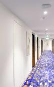 Туры в отель Cygnett Inn Airport Туры в отель Cygnett Inn Airport