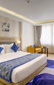 Туры в отель Cygnett Inn Airport Туры в отель Cygnett Inn Airport