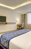 Туры в отель Cygnett Inn Airport Туры в отель Cygnett Inn Airport