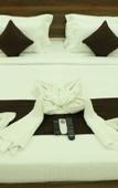 Туры в отель Green Tree Hotel Туры в отель Green Tree Hotel