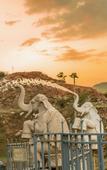 Туры в отель Clarks Resort Ajmer Туры в отель Clarks Resort Ajmer