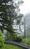 Туры в отель Bracknell Resort Munnar Туры в отель Bracknell Resort Munnar