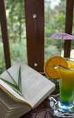 Туры в отель Bracknell Resort Munnar Туры в отель Bracknell Resort Munnar