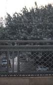 Туры в отель Gallivanto inn - Rohini Туры в отель Gallivanto inn - Rohini