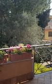 Туры в отель Aurelia Garden Gold Bed & Breakfast Туры в отель Aurelia Garden Gold Bed & Breakfast