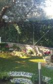Туры в отель Aurelia Garden Gold Bed & Breakfast Туры в отель Aurelia Garden Gold Bed & Breakfast