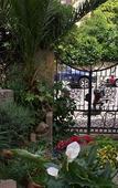 Туры в отель Palm Gallery Hotel Туры в отель Palm Gallery Hotel