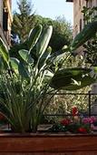 Туры в отель Palm Gallery Hotel Туры в отель Palm Gallery Hotel