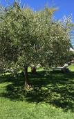Туры в отель Hotel Ca' Mura Туры в отель Hotel Ca' Mura