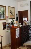 Туры в отель Hotel Condor Туры в отель Hotel Condor