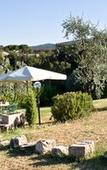 Туры в отель Torre a Cona Wine Estate Туры в отель Torre a Cona Wine Estate