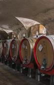 Туры в отель Torre a Cona Wine Estate Туры в отель Torre a Cona Wine Estate
