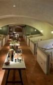 Туры в отель Torre a Cona Wine Estate Туры в отель Torre a Cona Wine Estate