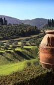 Туры в отель Torre a Cona Wine Estate Туры в отель Torre a Cona Wine Estate