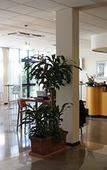 Туры в отель Euro Hotel Туры в отель Euro Hotel