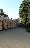 Туры в отель Hotel Pineta Туры в отель Hotel Pineta