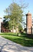Туры в отель Hotel La Corte Туры в отель Hotel La Corte
