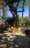 Туры в отель Hotel Villa La Brise Туры в отель Hotel Villa La Brise