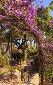 Туры в отель Hotel Villa La Brise Туры в отель Hotel Villa La Brise