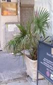 Туры в отель Hotel del Centro Туры в отель Hotel del Centro