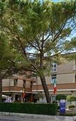 Туры в отель Hotel Frate Sole Туры в отель Hotel Frate Sole